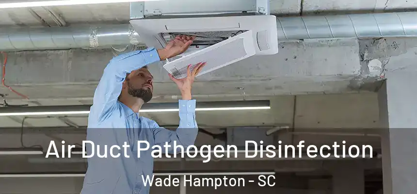  Air Duct Pathogen Disinfection Wade Hampton - SC