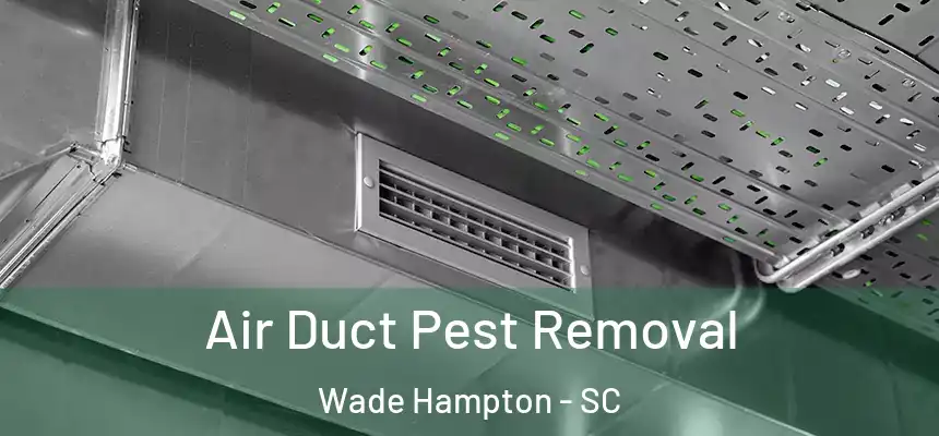 Air Duct Pest Removal Wade Hampton - SC