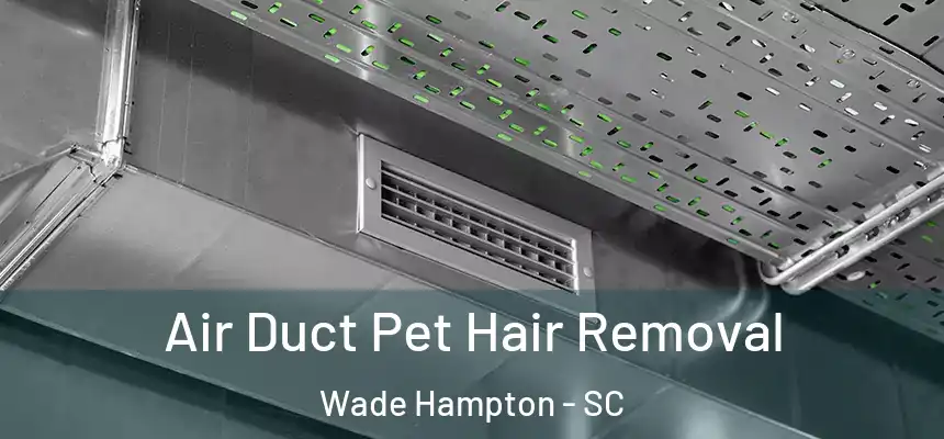  Air Duct Pet Hair Removal Wade Hampton - SC