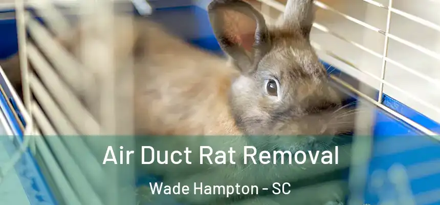  Air Duct Rat Removal Wade Hampton - SC