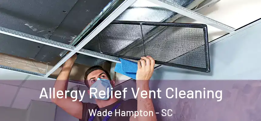  Allergy Relief Vent Cleaning Wade Hampton - SC