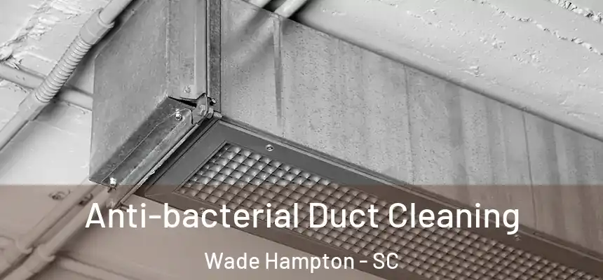 Anti-bacterial Duct Cleaning Wade Hampton - SC