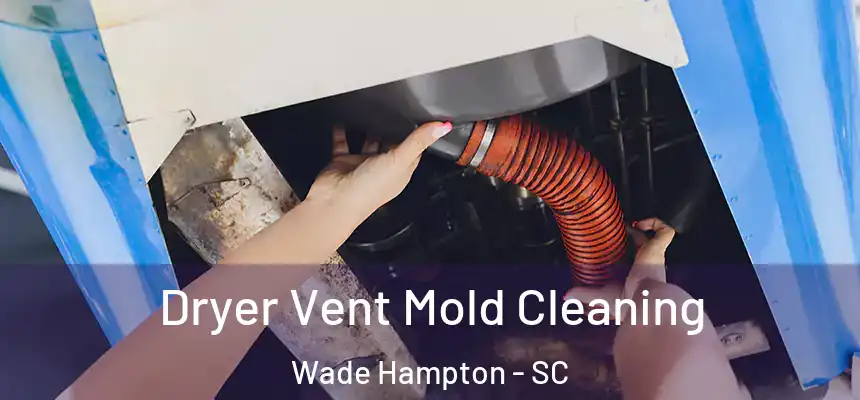 Dryer Vent Mold Cleaning Wade Hampton - SC