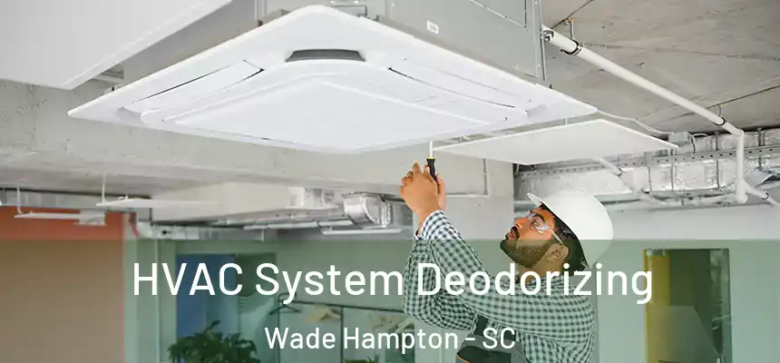  HVAC System Deodorizing Wade Hampton - SC