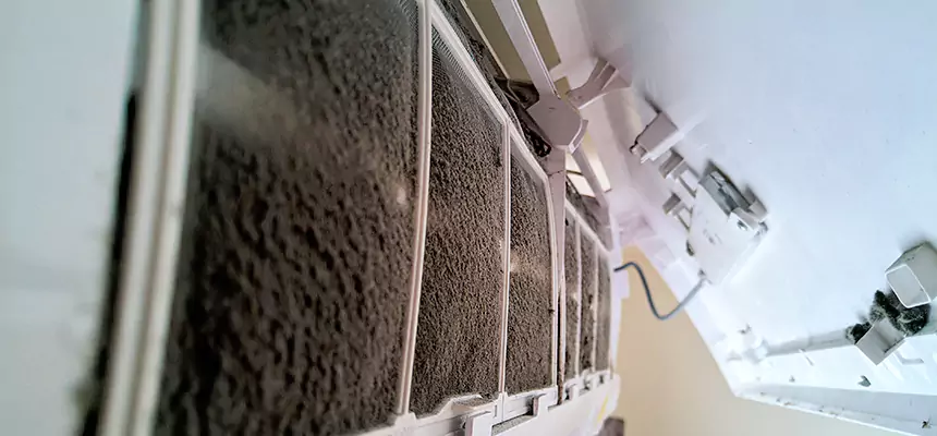 Preventive Air Duct Bacteria Removal in Wade Hampton