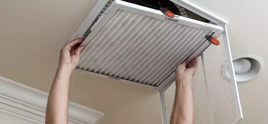 Preventive Cockroach-Proofing for Ducts in Wade Hampton