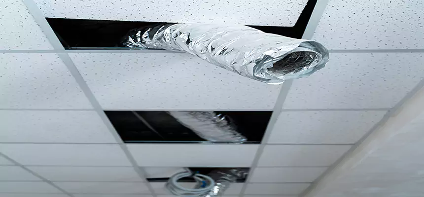 Our Air Duct Pet Hair Removal Services in Wade Hampton, SC