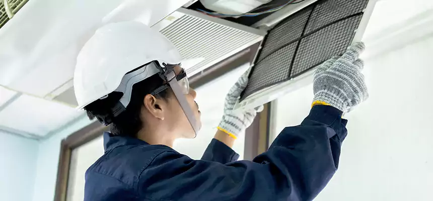 Our Mold & Mildew Removal from Air Ducts Services in Wade Hampton, SC