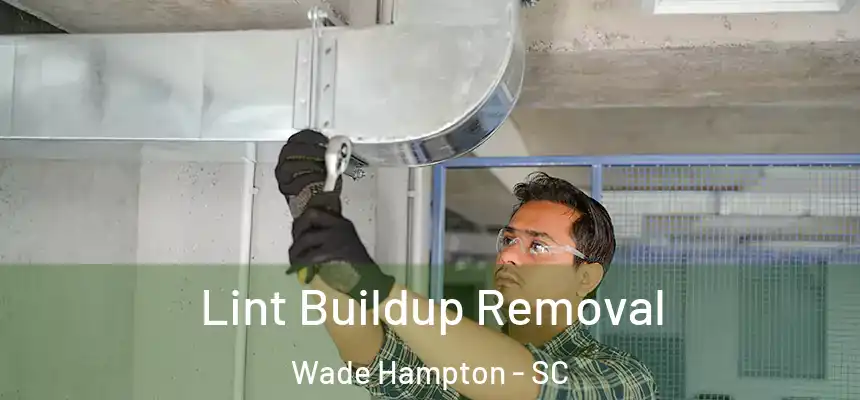 Lint Buildup Removal Wade Hampton - SC