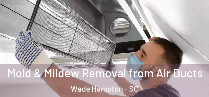  Mold & Mildew Removal from Air Ducts Wade Hampton - SC