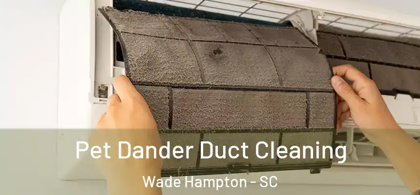 Pet Dander Duct Cleaning Wade Hampton - SC