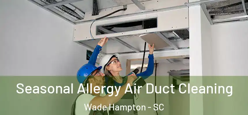 Seasonal Allergy Air Duct Cleaning Wade Hampton - SC