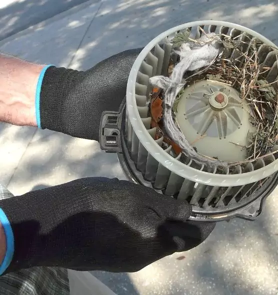 About Air Duct Mice Removal in Wade Hampton, SC