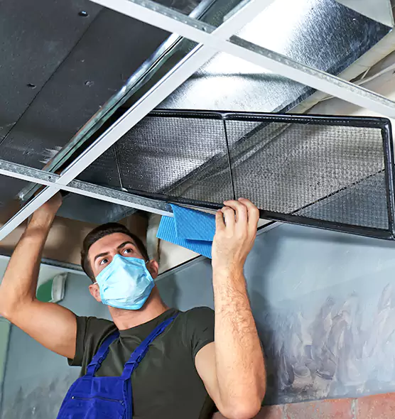 Professional Air Duct Pollen Cleaning in Wade Hampton, SC