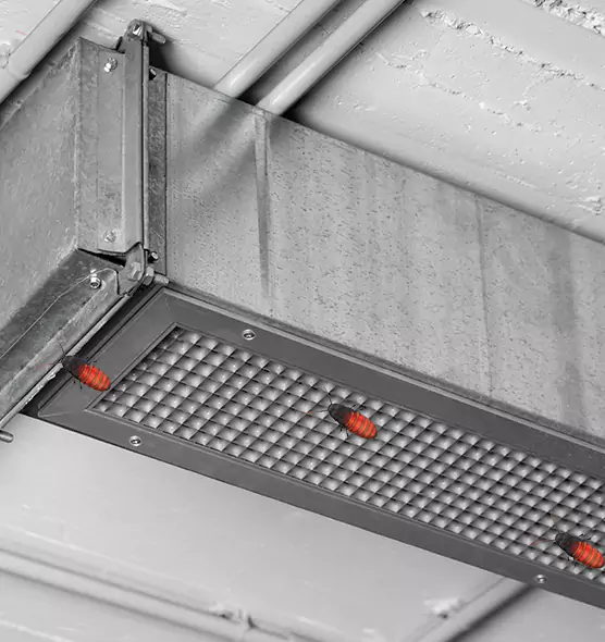 Affordable Insect Removal from Air Ducts in Wade Hampton, SC