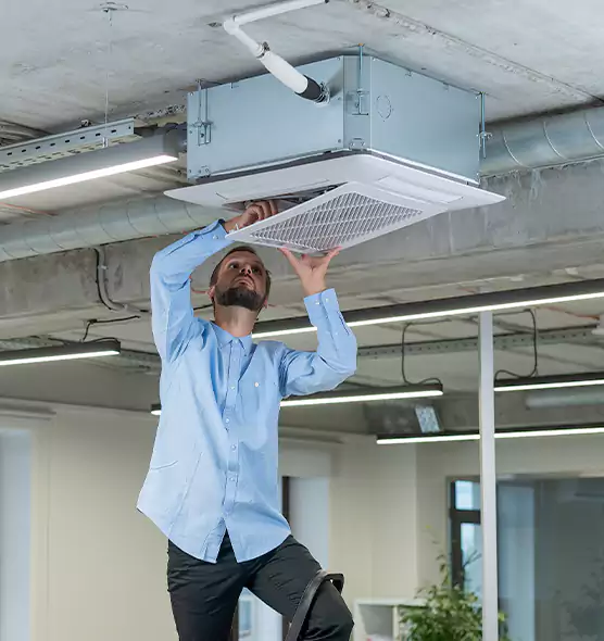 Advanced Rodent Droppings In Vents in Wade Hampton, SC