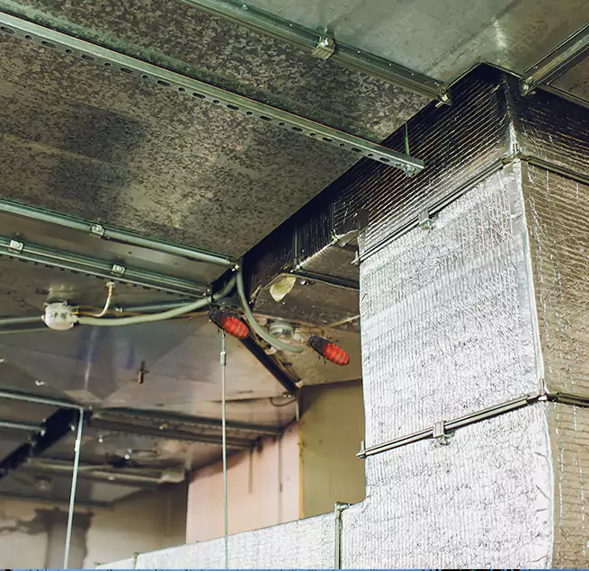 Why Homeowners & Businesses Trust Us in Wade Hampton, SC?