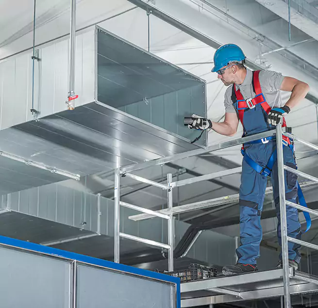 Why Homeowners & Businesses Trust Us in Wade Hampton, SC?