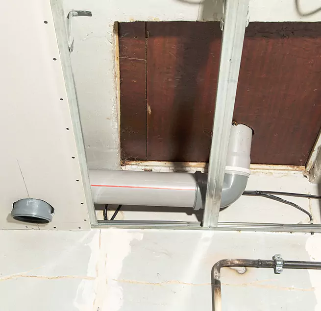 Why Homeowners & Businesses Trust Us in Wade Hampton, SC?