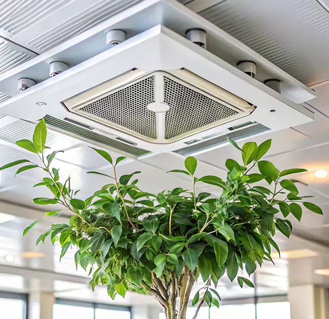 Why Homeowners & Businesses Trust Us in Wade Hampton, SC?