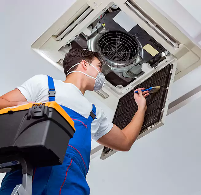 Why Homeowners & Businesses Trust Us in Wade Hampton, SC?