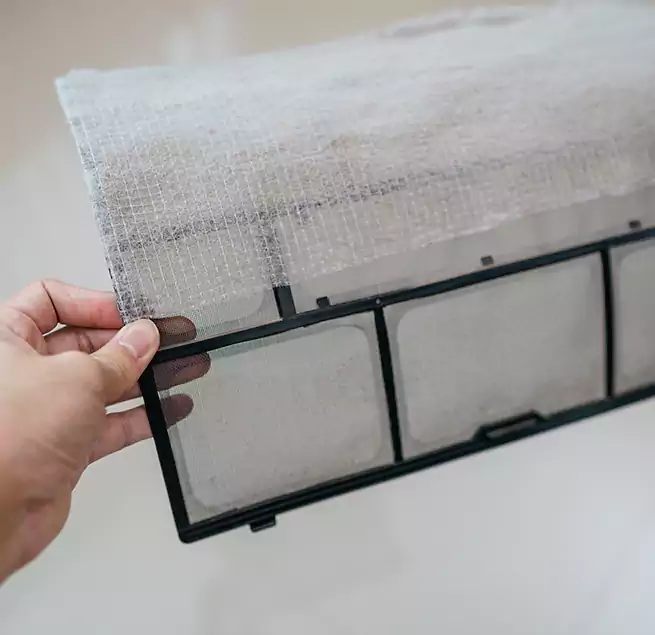 Why Homeowners & Businesses Trust Us in Wade Hampton, SC?