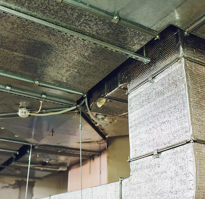 Why Homeowners & Businesses Trust Us in Wade Hampton, SC?