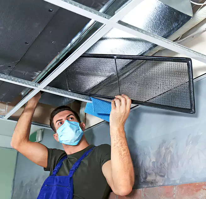 Why Homeowners Businesses Trust Us in Wade Hampton, SC