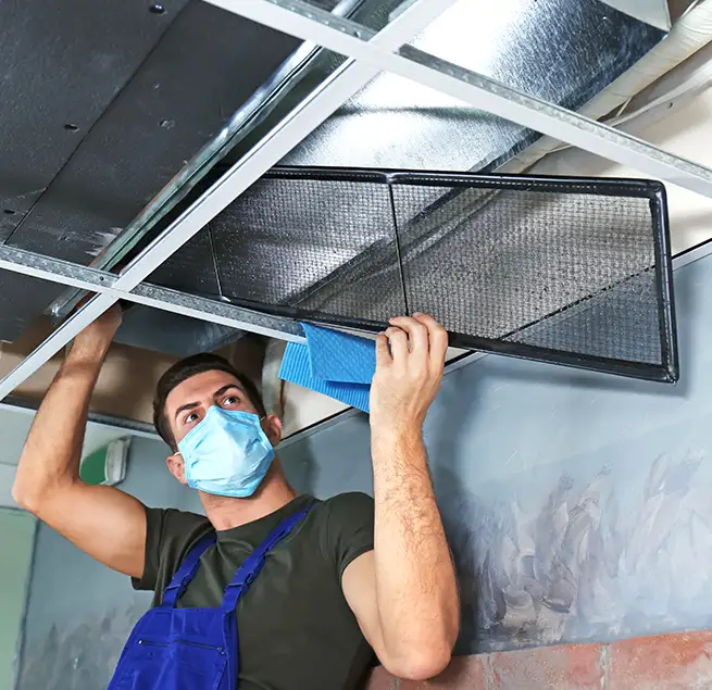 Why Homeowners & Businesses Trust Us in Wade Hampton, SC?